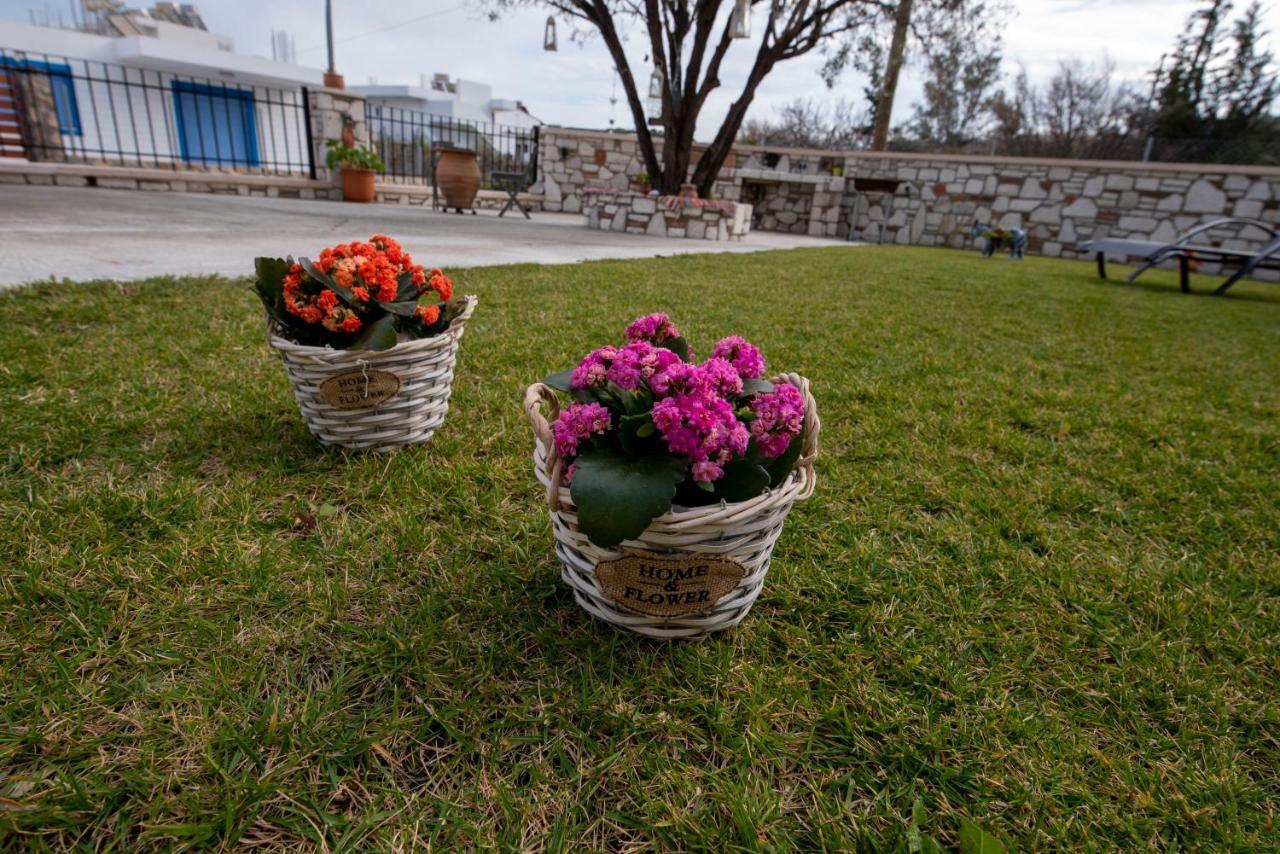 Searock Stegna Villa Archangelos  Bagian luar foto
